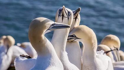 数字不足，无法找到更多新闻标题，如有需要可再次联系我进行搜索