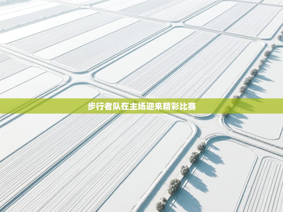 步行者队在主场迎来精彩比赛 第1张