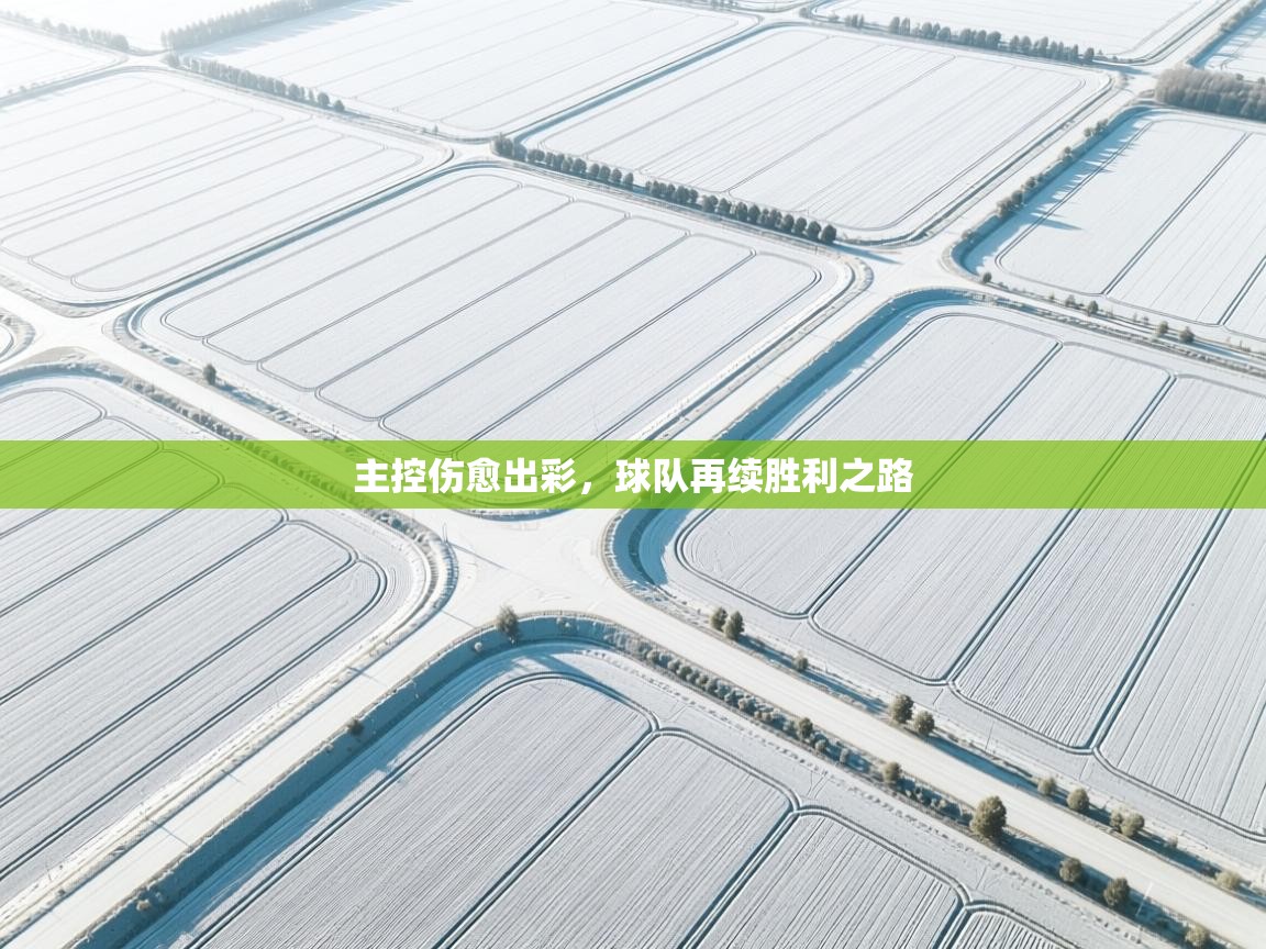 主控伤愈出彩,球队再续胜利之路 第1张