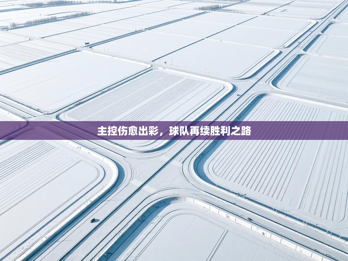 主控伤愈出彩,球队再续胜利之路 第2张